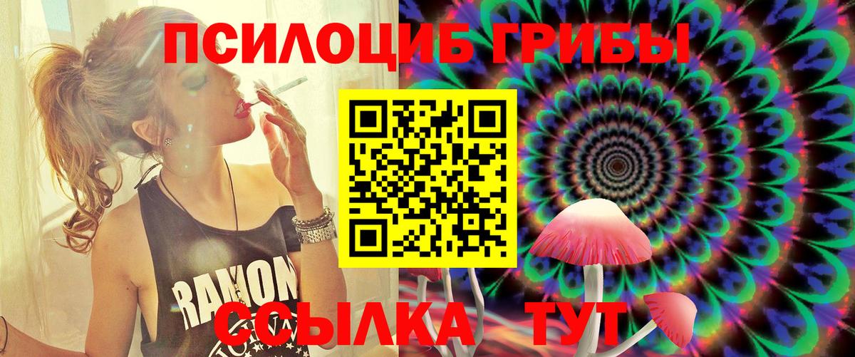 Гусь-Хрустальный  Псилоцибиновые грибы Cubensis  Вход с VPN 