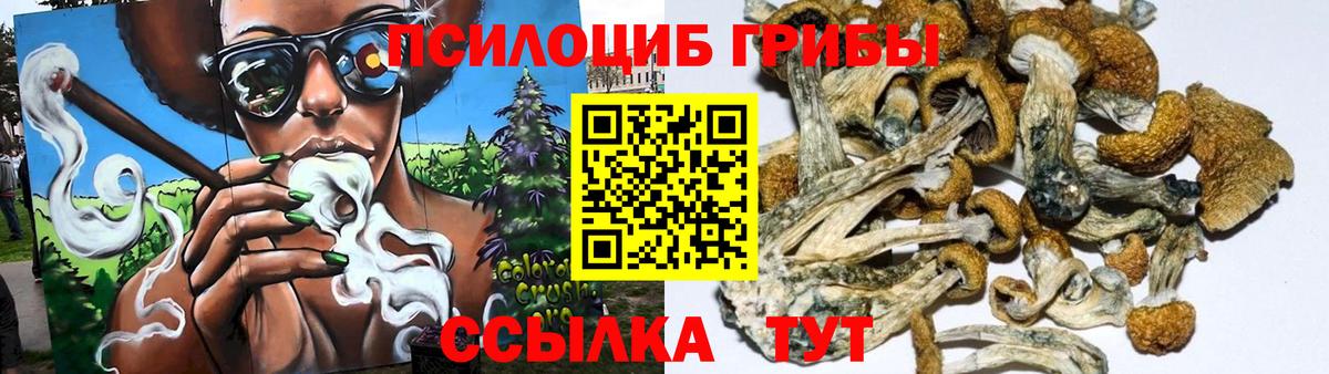 Псилоцибиновые грибы GOLDEN TEACHER Гусь-Хрустальный